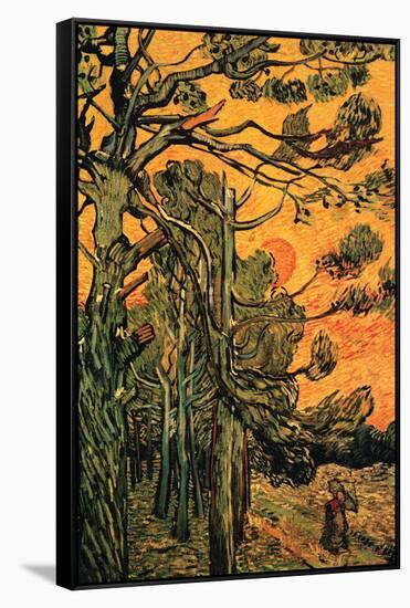 Pine Trees Against a Red Sky with Setting Sun-Vincent van Gogh-Framed Stretched Canvas