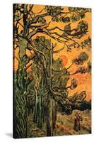 Pine Trees Against a Red Sky with Setting Sun-Vincent van Gogh-Stretched Canvas