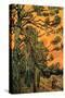 Pine Trees Against a Red Sky with Setting Sun-Vincent van Gogh-Stretched Canvas