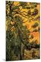 Pine Trees Against a Red Sky with Setting Sun-Vincent van Gogh-Mounted Art Print