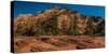 Pine trees and sandstone cliffs, Zion National Park, Utah, USA-null-Stretched Canvas