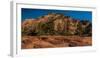 Pine trees and sandstone cliffs, Zion National Park, Utah, USA-null-Framed Photographic Print