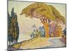 Pine Trees at Bertaud, Saint- Tropez-Paul Signac-Mounted Giclee Print