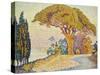 Pine Trees at Bertaud, Saint- Tropez-Paul Signac-Stretched Canvas