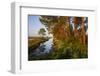 Pine Trees at Sunrise in Delta, Karavasta Lagoons National Park, Albania, June 2009-Geidemark-Framed Premium Photographic Print