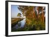 Pine Trees at Sunrise in Delta, Karavasta Lagoons National Park, Albania, June 2009-Geidemark-Framed Photographic Print