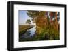 Pine Trees at Sunrise in Delta, Karavasta Lagoons National Park, Albania, June 2009-Geidemark-Framed Photographic Print