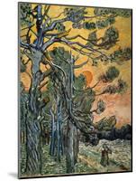 Pine Trees at Sunset, 1889-Vincent van Gogh-Mounted Giclee Print