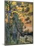 Pine Trees at Sunset, 1889-Vincent van Gogh-Mounted Giclee Print