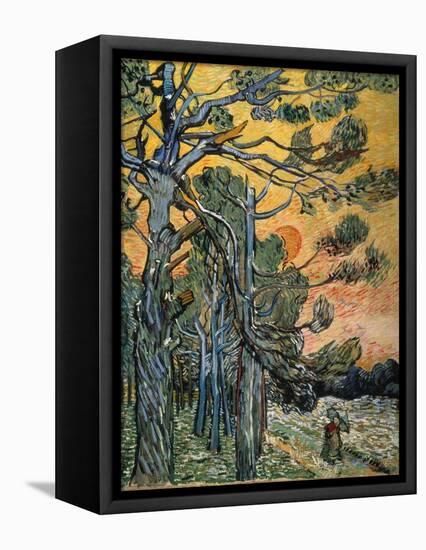 Pine Trees at Sunset, 1889-Vincent van Gogh-Framed Stretched Canvas