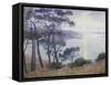 Pine Trees at the Seashore-Paul Madeline-Framed Stretched Canvas