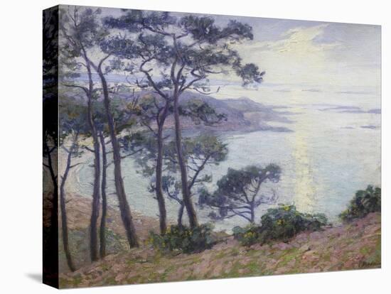 Pine Trees at the Seashore-Paul Madeline-Stretched Canvas