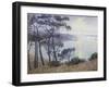 Pine Trees at the Seashore-Paul Madeline-Framed Giclee Print