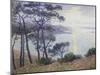 Pine Trees at the Seashore-Paul Madeline-Mounted Giclee Print