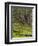 pine trees behind the Baltic dyke, Schaabe, Rügen, Mecklenburg-Western Pomerania, Germany-Michael Jaeschke-Framed Photographic Print