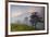 Pine Trees in Clouds, Llogoraja National Park, Albania, June 2009-Geidemark-Framed Photographic Print