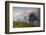 Pine Trees in Clouds, Llogoraja National Park, Albania, June 2009-Geidemark-Framed Photographic Print