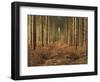 Pine Trees in Rows in Morning Light, Norfolk Wood, Norfolk, England, United Kingdom, Europe-Charcrit Boonsom-Framed Photographic Print