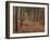 Pine Trees in Rows, Norfolk Wood, Norfolk, England, United Kingdom, Europe-Charcrit Boonsom-Framed Photographic Print