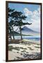 Pine Trees on the Beach with Mt Fuji in the Background, Japan-null-Framed Giclee Print