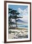 Pine Trees on the Beach with Mt Fuji in the Background, Japan-null-Framed Giclee Print