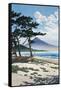 Pine Trees on the Beach with Mt Fuji in the Background, Japan-null-Framed Stretched Canvas