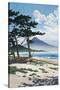 Pine Trees on the Beach with Mt Fuji in the Background, Japan-null-Stretched Canvas