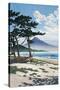 Pine Trees on the Beach with Mt Fuji in the Background, Japan-null-Stretched Canvas