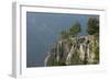 Pine Trees on the Edge of the Susica Canyon, Durmitor Np, Montenegro, October 2008-Radisics-Framed Photographic Print