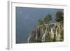 Pine Trees on the Edge of the Susica Canyon, Durmitor Np, Montenegro, October 2008-Radisics-Framed Photographic Print