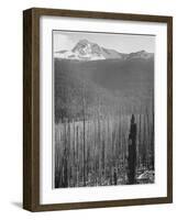 Pine Trees Snow Covered Mts In Bkgd "Burned Area Glacier National Park" Montana 1933-1942-Ansel Adams-Framed Art Print