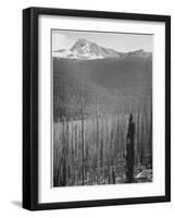 Pine Trees Snow Covered Mts In Bkgd "Burned Area Glacier National Park" Montana 1933-1942-Ansel Adams-Framed Art Print