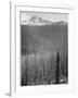 Pine Trees Snow Covered Mts In Bkgd "Burned Area Glacier National Park" Montana 1933-1942-Ansel Adams-Framed Art Print