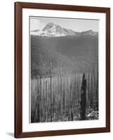 Pine Trees Snow Covered Mts In Bkgd "Burned Area Glacier National Park" Montana 1933-1942-Ansel Adams-Framed Art Print