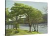 Pine Trees, Usk Reservoir, 2005-Peter Breeden-Stretched Canvas