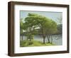 Pine Trees, Usk Reservoir, 2005-Peter Breeden-Framed Giclee Print