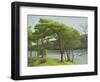 Pine Trees, Usk Reservoir, 2005-Peter Breeden-Framed Giclee Print