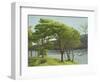 Pine Trees, Usk Reservoir, 2005-Peter Breeden-Framed Giclee Print