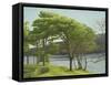 Pine Trees, Usk Reservoir, 2005-Peter Breeden-Framed Stretched Canvas
