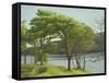 Pine Trees, Usk Reservoir, 2005-Peter Breeden-Framed Stretched Canvas