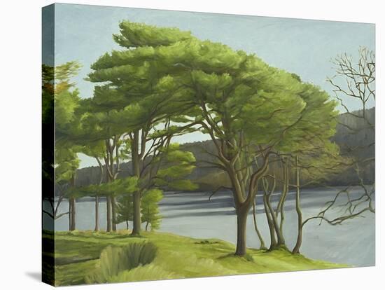 Pine Trees, Usk Reservoir, 2005-Peter Breeden-Stretched Canvas