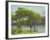 Pine Trees, Usk Reservoir, 2005-Peter Breeden-Framed Giclee Print