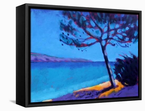 Pine Trees-Sara Hayward-Framed Stretched Canvas