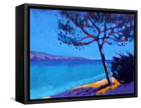 Pine Trees-Sara Hayward-Framed Stretched Canvas