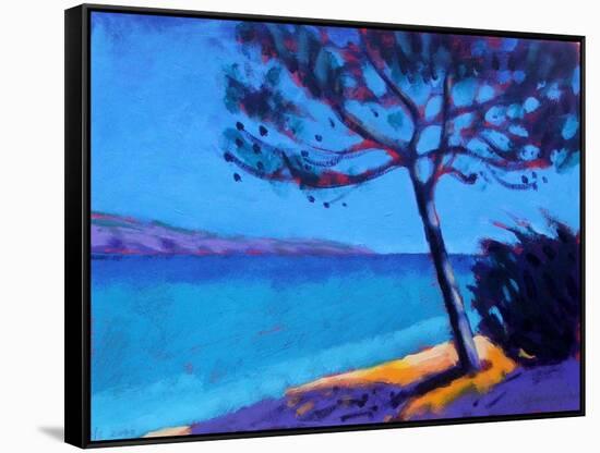 Pine Trees-Sara Hayward-Framed Stretched Canvas