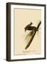 Pine Warblers-John James Audubon-Framed Giclee Print