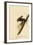 Pine Warblers-John James Audubon-Framed Giclee Print