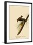 Pine Warblers-John James Audubon-Framed Giclee Print