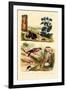 Pine Weevil, 1833-39-null-Framed Giclee Print