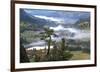 Pine with a View-Phillip Mueller-Framed Giclee Print